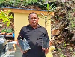 Penggiat Lingkungan Tanam Pohon Matoa Dan Macadamia Nut Dilokasi Wisata Teras Hills SIpiso-piso Tongging Tanah Karo