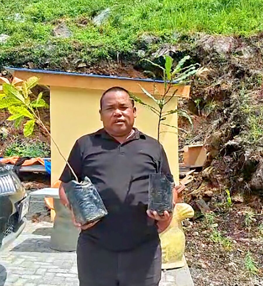 Penggiat Lingkungan Tanam Pohon Matoa Dan Macadamia Nut Dilokasi Wisata Teras Hills SIpiso-piso Tongging Tanah Karo