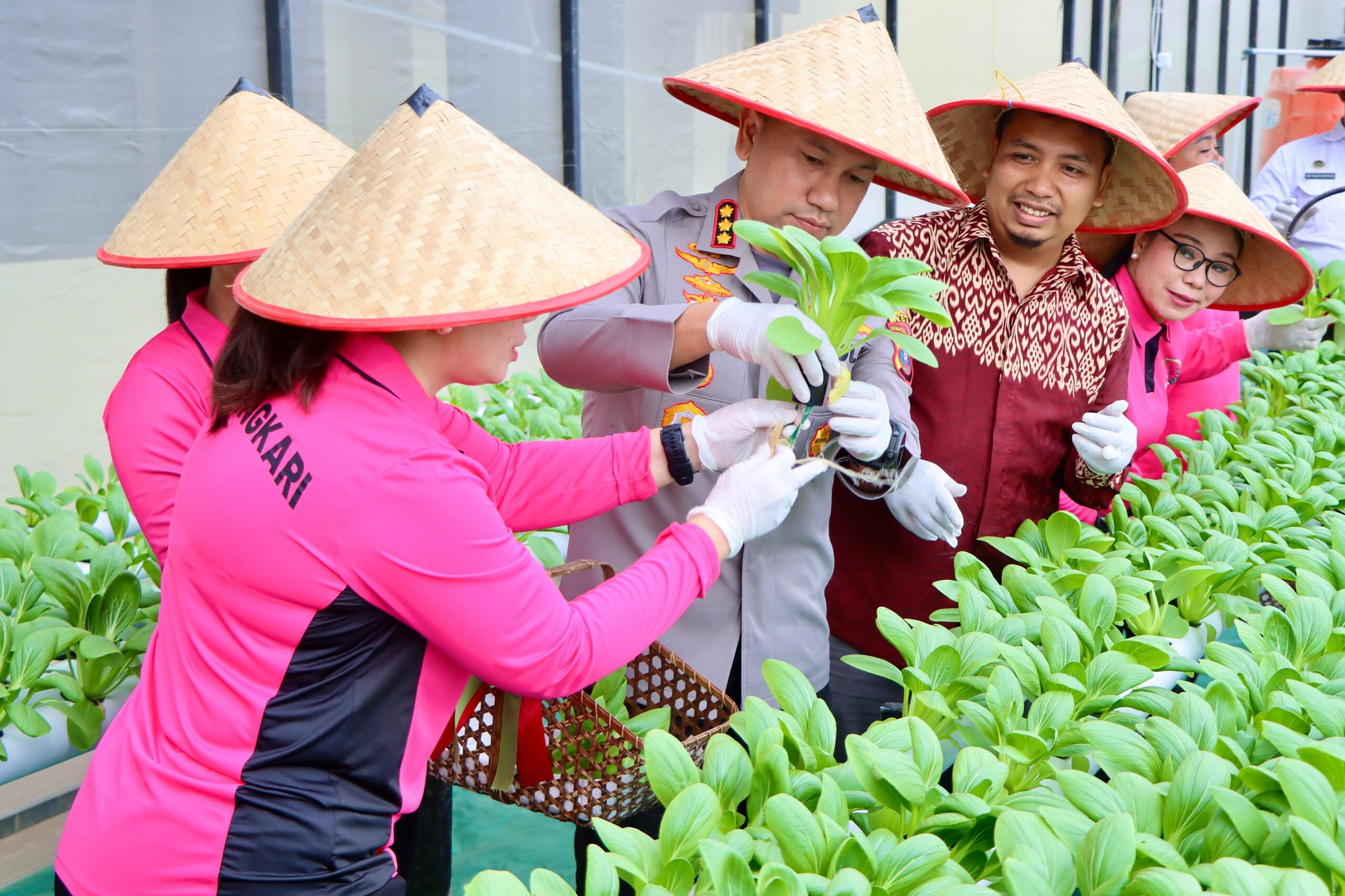 Aktif Dukung Program Pangan Nasional, Polrestabes Medan Panen Melon Hidroponik