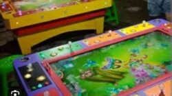 Warga Medan Utara Resah Sejumlah Lokasi Diduga Jadi Arena Judi Tembak Ikan 7 Warga Medan Utara Resah Sejumlah Lokasi Diduga Jadi Arena Judi Tembak Ikan