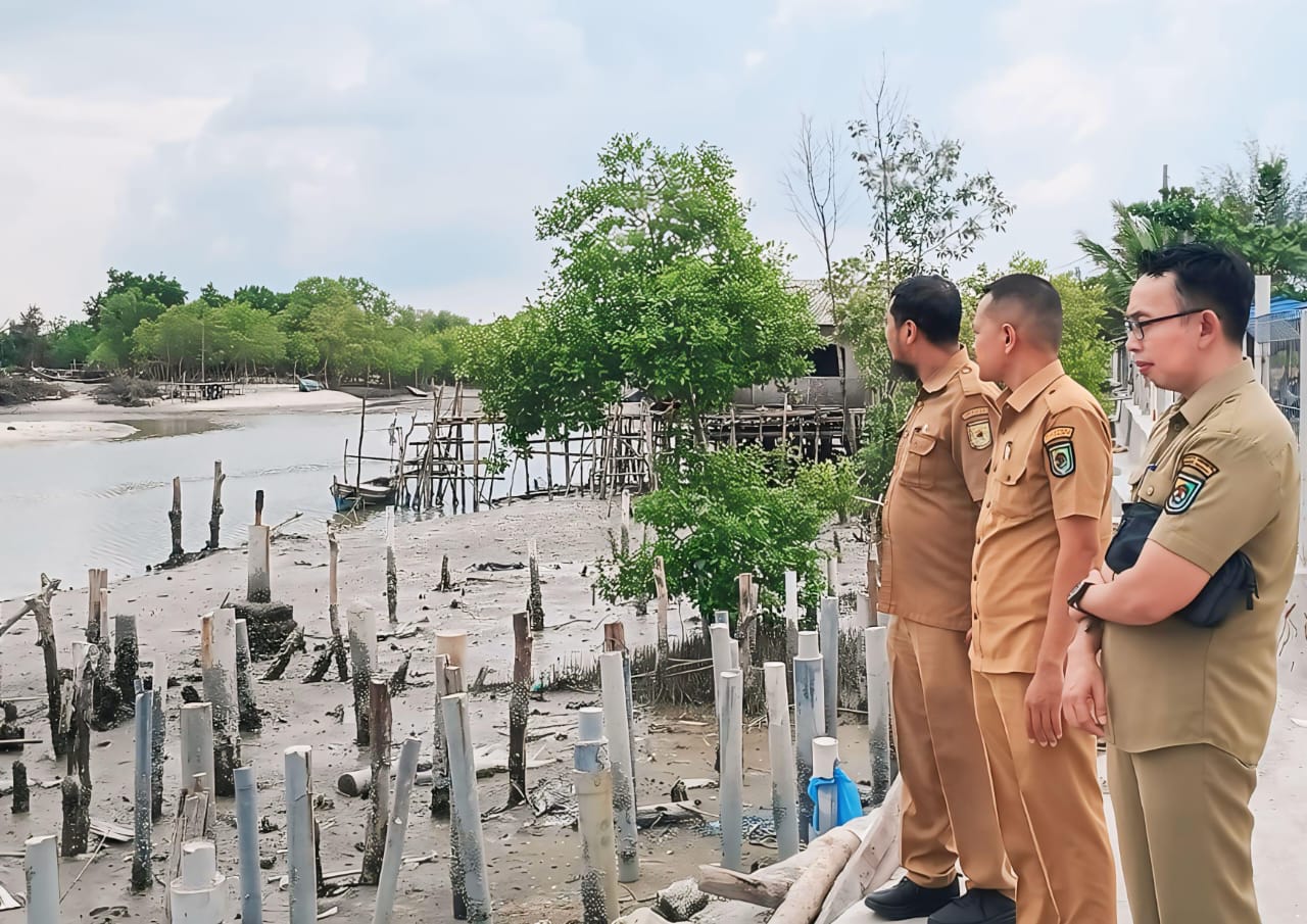 Bapperida Sergai Kaji Kelayakan Riset Pemulihan Pesisir