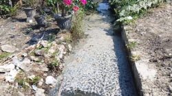 Dugaan Limbah Dapur SPPG Sei Rampah, Aroma Tak Sedap Resahkan Warga