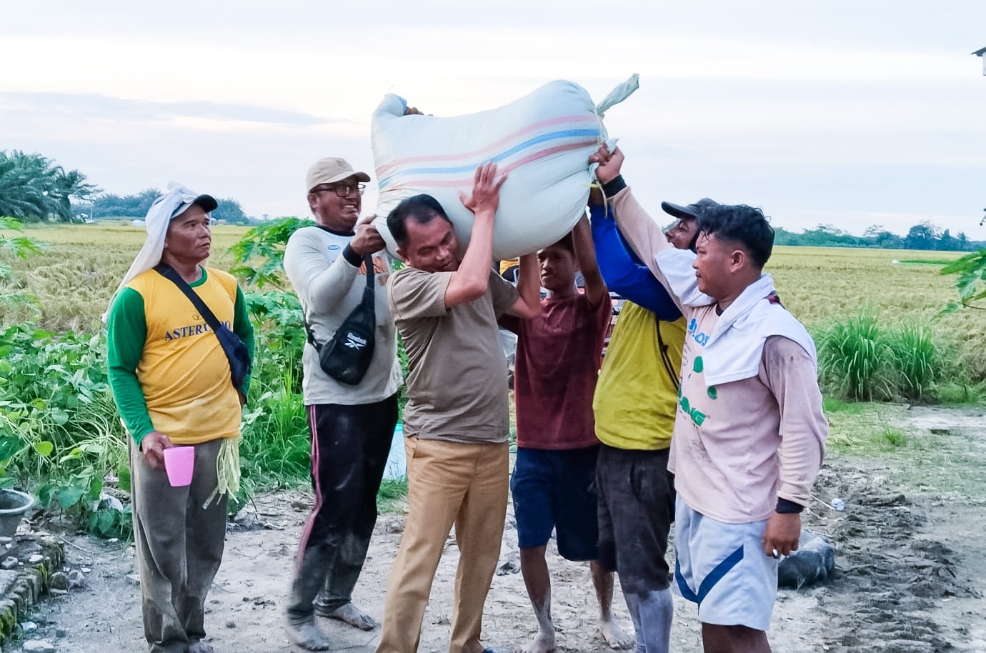 Sergai Peringkat Pertama Luas Panen dan Produksi Padi di Sumut Dua Tahun Berturut-turut