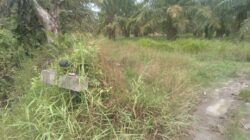 Diduga Alih Fungsi Hutan Lindung, Aktivitas PT BMP di Pematang Kuala Jadi Sorotan