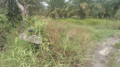 Diduga Alih Fungsi Hutan Lindung, Aktivitas PT BMP di Pematang Kuala Jadi Sorotan