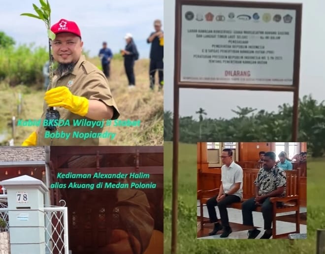 Supernya Akuang : Divonis 10 Tahun Penjara Namun Bebas Dan Kebun Sawit Disita TBS Tetap Dipanen