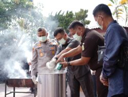 Polres Asahan Musnahkan Ratusan Gram Ganja, Ketamin dan Ekstasi