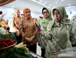 Supervisi PKK Sumut, Minta Kader Perkuat Program untuk Indonesia Emas 2045