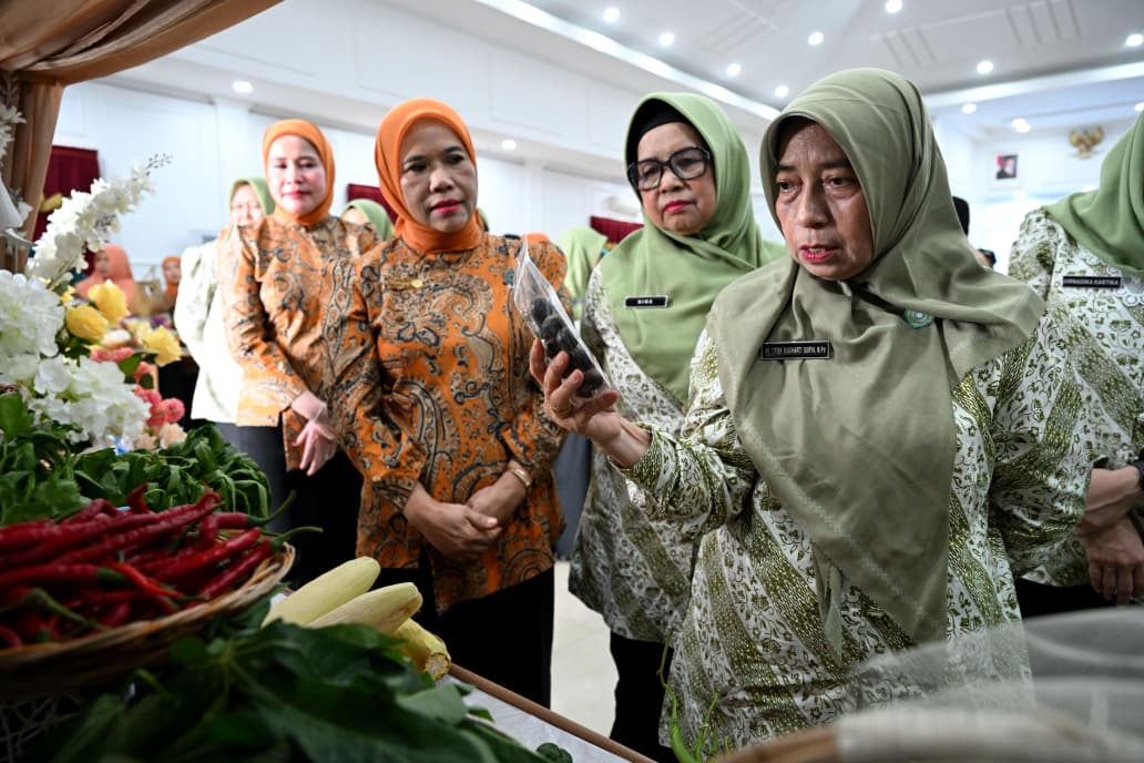 Supervisi PKK Sumut, Minta Kader Perkuat Program untuk Indonesia Emas 2045