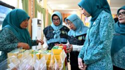 Dukung Tertib Administrasi dan Data, TP-PKK Sumut Kembangkan Aplikasi SIPANDA