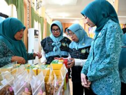 Dukung Tertib Administrasi dan Data, TP-PKK Sumut Kembangkan Aplikasi SIPANDA