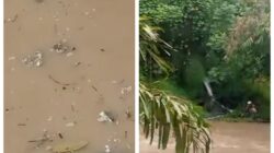 Sungai Bahilang Tercemar Lagi, Warga Temukan Limbah Karet Mengapung Diduga Milik Pabrik PTPN III Gunung Para