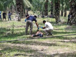 Pria Ditemukan Tewas Bersimbah Darah di Kebun Sawit Socfindo Matapao