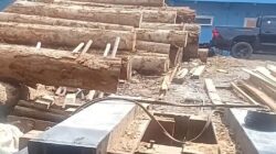 Tim GAKKUM Kehutanan Provinsi merazia Seluruh Kilang Kayu yang berada di Kabupaten Asahan