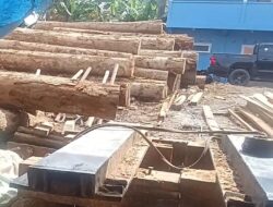 Tim GAKKUM Kehutanan Provinsi merazia Seluruh Kilang Kayu yang berada di Kabupaten Asahan