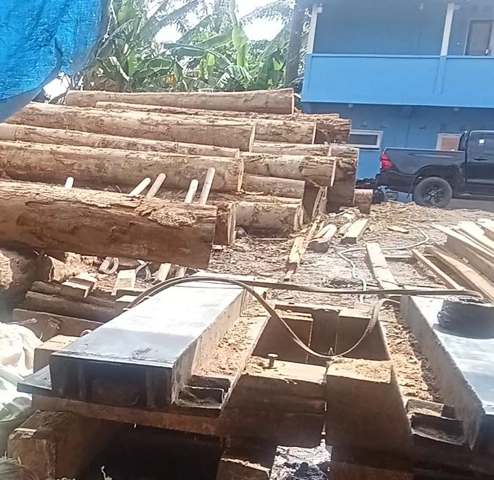 Tim GAKKUM Kehutanan Provinsi merazia Seluruh Kilang Kayu yang berada di Kabupaten Asahan