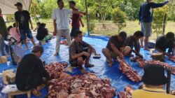 Hari Pertama Idul Adha Warga Komplek Al Falah Tambun Timur Pematang Siantar Laksanakan Qurban 5 Lembu