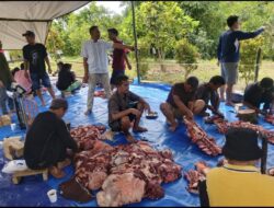 Hari Pertama Idul Adha Warga Komplek Al Falah Tambun Timur Pematang Siantar Laksanakan Qurban 5 Lembu