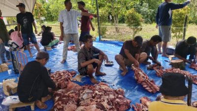 Hari Pertama Idul Adha Warga Komplek Al Falah Tambun Timur Pematang Siantar Laksanakan Qurban 5 Lembu