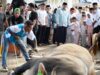 Bobby Nasution Sholat Idul Adha 1447 H Bersama Warga Binjai, Pemprovau Salurkan 167 Hewan Qurban