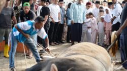 Bobby Nasution Sholat Idul Adha 1447 H Bersama Warga Binjai, Pemprovau Salurkan 167 Hewan Qurban