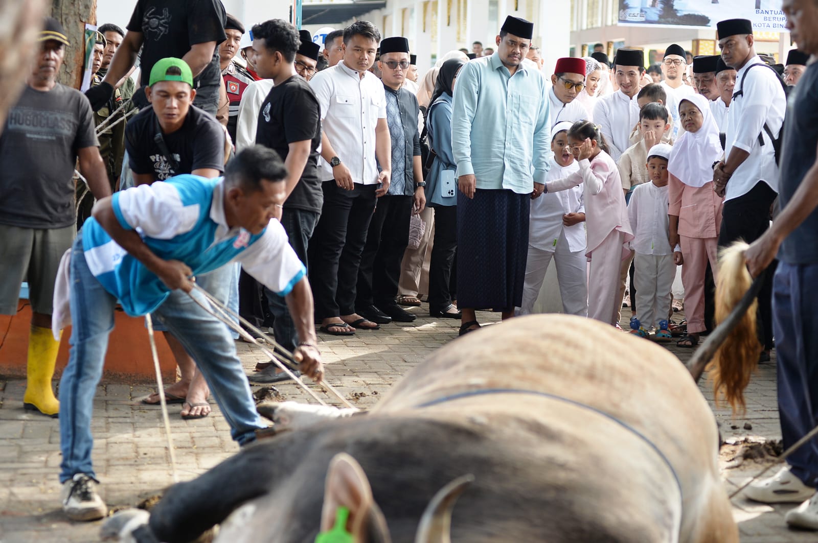 Bobby Nasution Sholat Idul Adha 1447 H Bersama Warga Binjai, Pemprovau Salurkan 167 Hewan Qurban