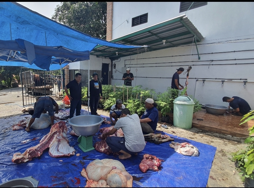 Hari Kedua Idul Adha, PB MABMI Sembelih Qurban 4 Sapi 6 Kambing 2 Hari Kedua Idul Adha, PB MABMI Sembelih Qurban 4 Sapi 6 Kambing