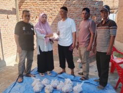 Rayakan Idul Adha 1447 H, Alumni SD Islam Azizi 84 Medan Sembelih Hewan Qurban