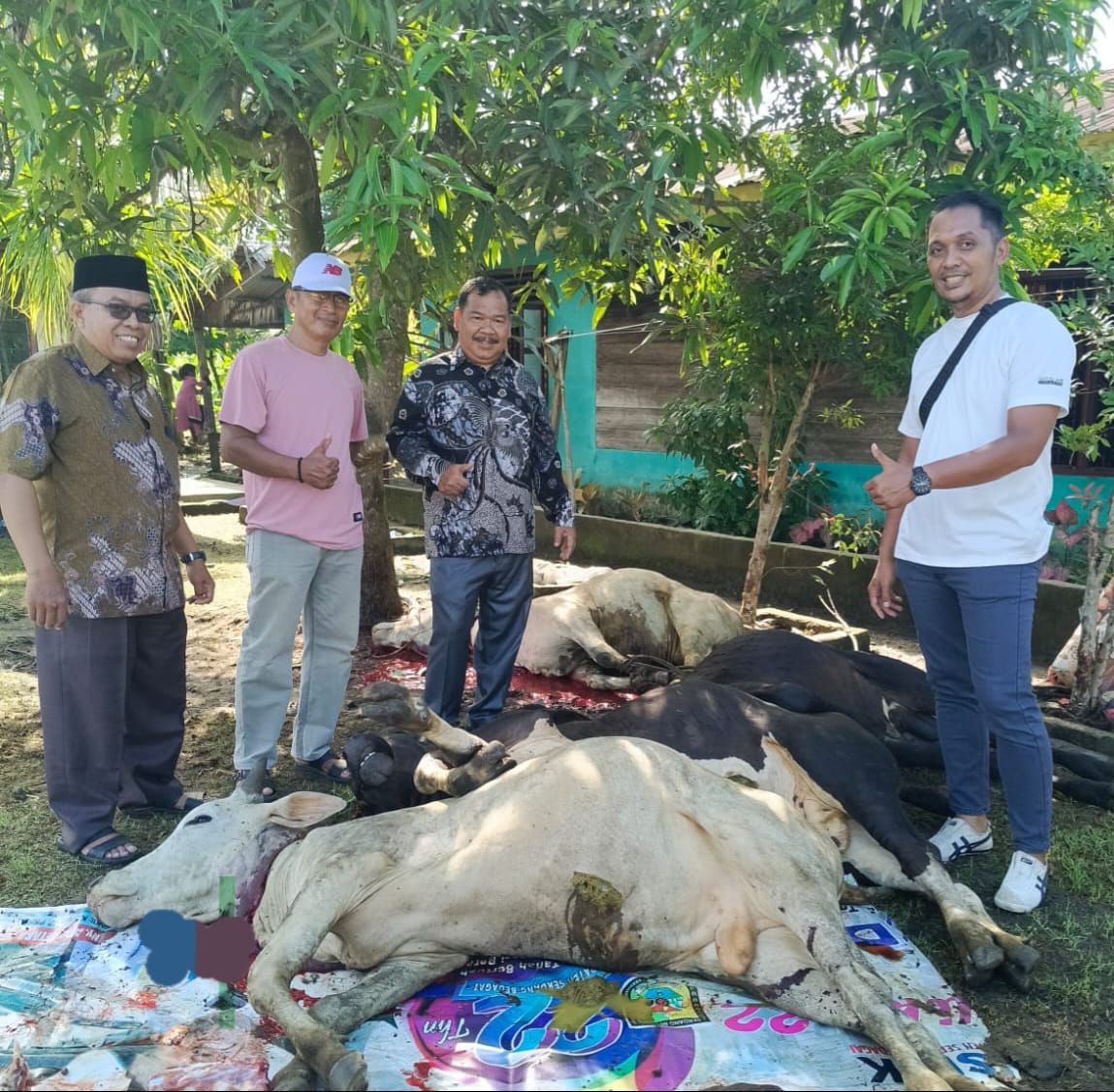 KKKS Tanjung Beringin Sembelih 5 Ekor Lembu Kurban, Perkuat Kebersamaan di Hari Raya Iduladha
