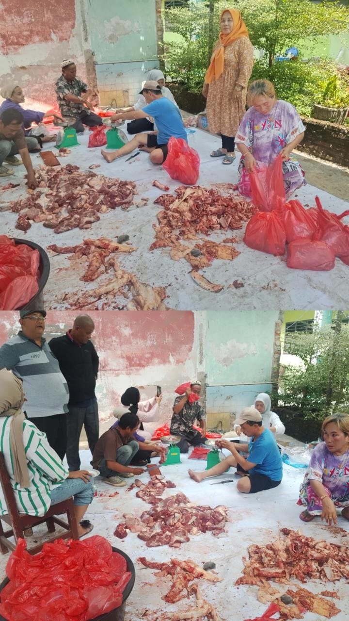 Rayakan Idul Adha 1447 H, IKAL SMP Negeri 11 Medan Angkatan 87 Sembelih 2 Ekor Sapi dan 5 Kambing