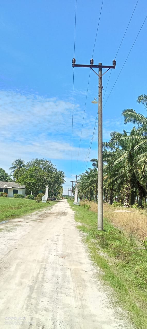 Kades Perkebunan Sei Balai Diduga Selewengkan Dana Desa untuk Pengadaan Lampu Jalan
