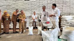 Bulog Sumut Salurkan Beras dan Minyakita Mengacu Ketentuan Pemerintah 5 Bulog Sumut Salurkan Beras dan Minyakita Mengacu Ketentuan Pemerintah