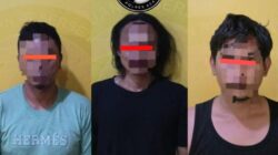 Satres Narkoba Polres Asahan ungkap 3 Kasus , ±51,21 Gram Sabu dan 3 Butir Ekstasi Serta 0,12 gram 5 Satres Narkoba Polres Asahan ungkap 3 Kasus , ±51,21 Gram Sabu dan 3 Butir Ekstasi Serta 0,12 gram