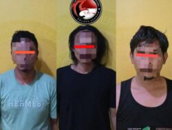 Satres Narkoba Polres Asahan ungkap 3 Kasus , ±51,21 Gram Sabu dan 3 Butir Ekstasi Serta 0,12 gram