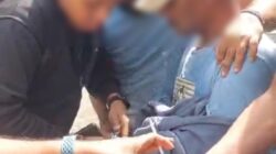 Kakek Nekat Jual Ganja Dibekuk Polisi, 880 Gram Ganja Disita