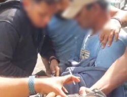Kakek Nekat Jual Ganja Dibekuk Polisi, 880 Gram Ganja Disita