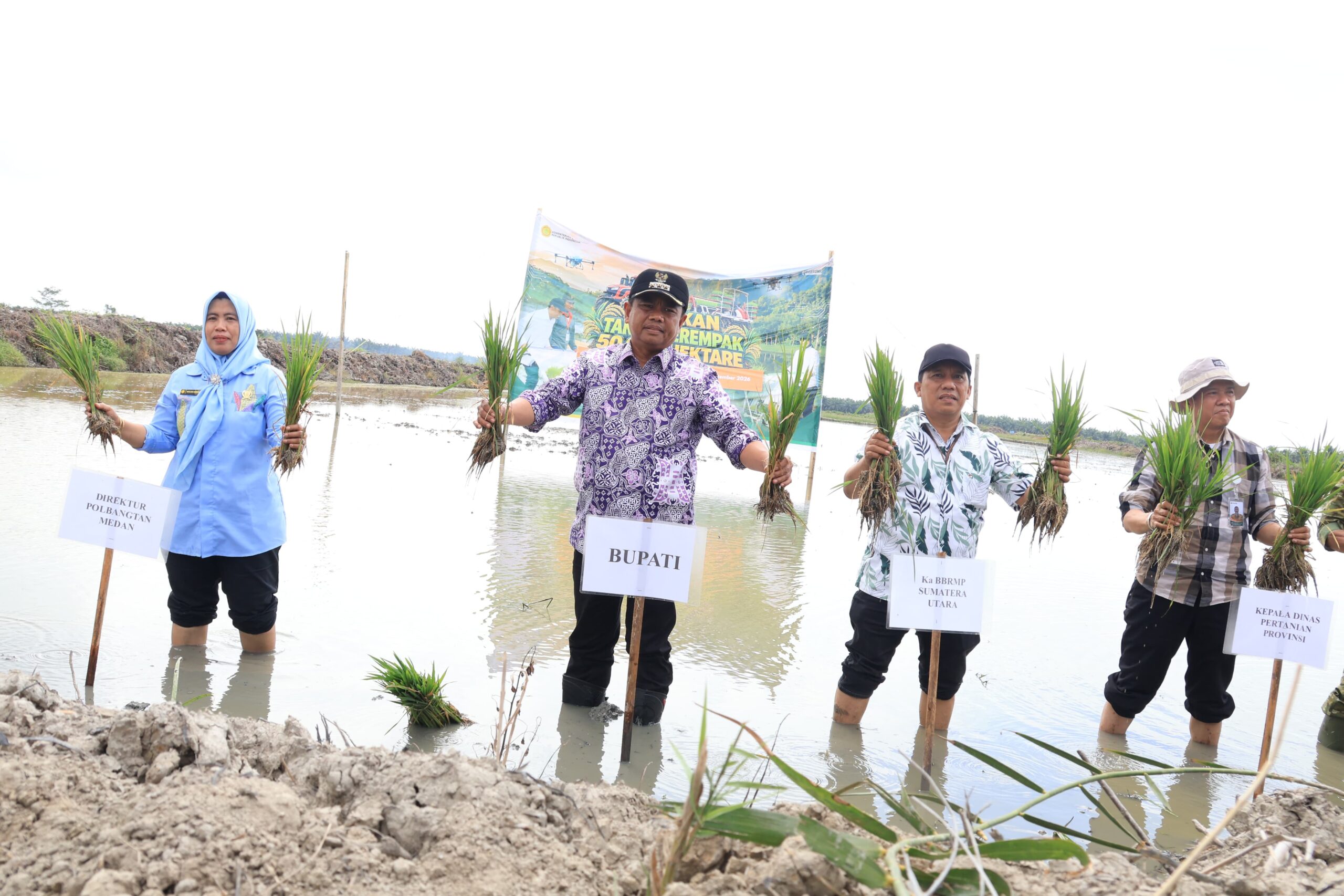 Tanam Serempak, Bupati Darma Wijaya Dorong Penguatan Pertanian Sergai