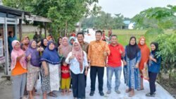 Adlin Tinjau Jalan Sialang Buah - Pematang Kuala, Harapan Warga Terwujud