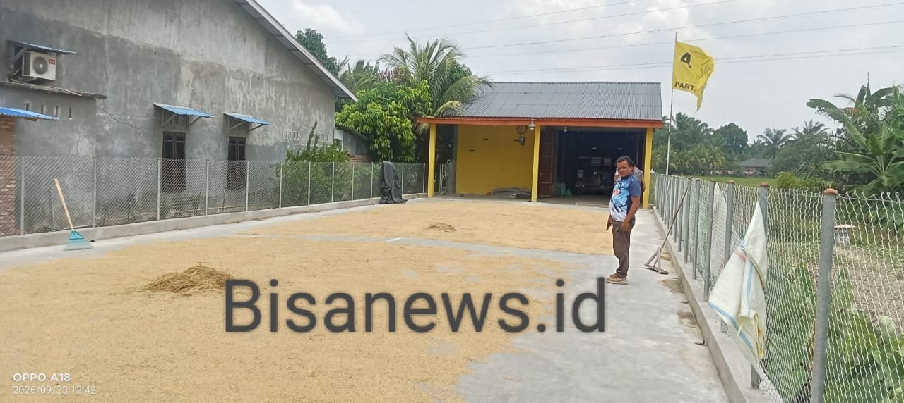 Pembangunan Lantai Jemur Tani di Asahan Diduga Bermasalah