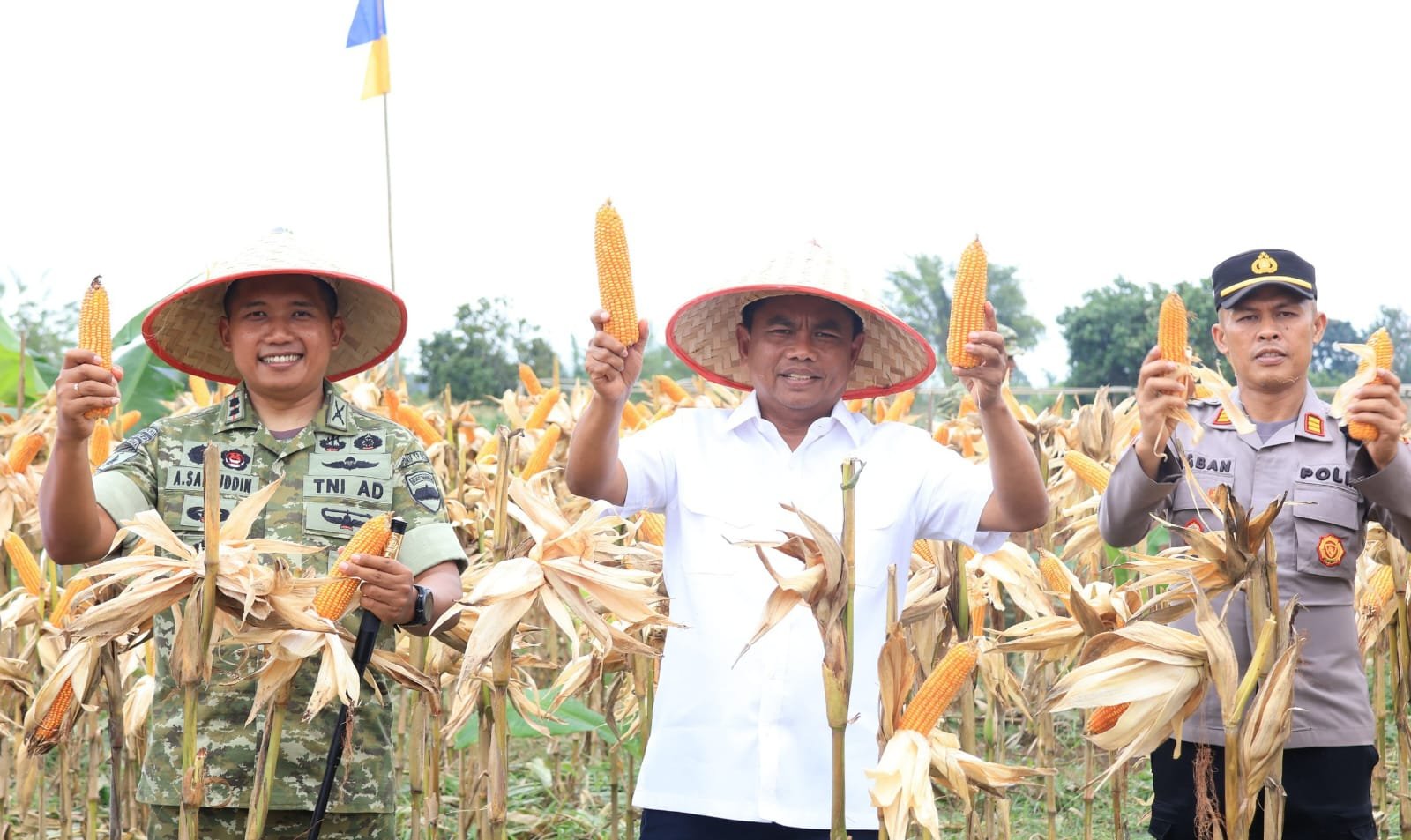 Panen Raya Jagung, Bupati Sergai Apresiasi Peran TNI